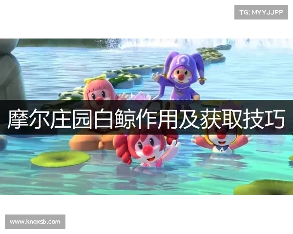 如何在短时间内快速掌握天之劫游戏技巧并提升操作水平 如何在短时间内快速掌握天之劫游戏技巧并提升操作水平