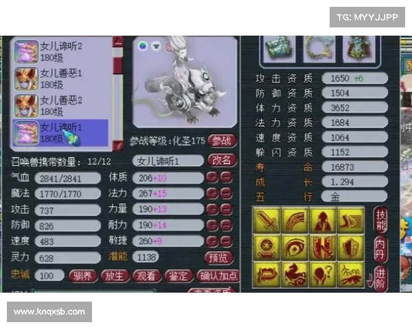 梦幻西游宝宝练级提升实力的全攻略与实用技巧分享